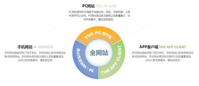 武优网络 专业营销型网站制作与优化型网站建设，助力企业推广与数据增长